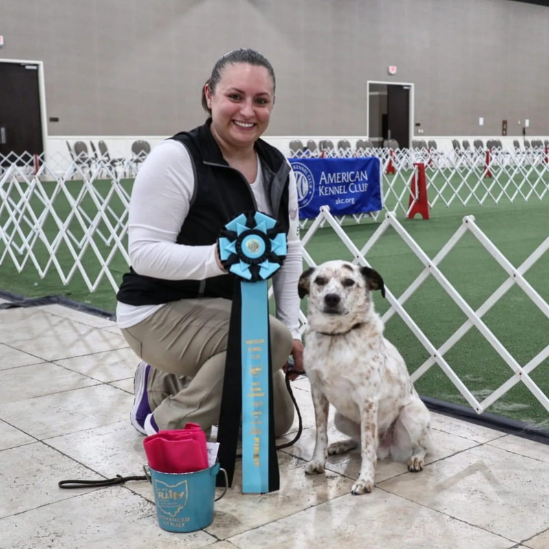 AKC Rally® Dog Sport for All Dogs and Owners - American Kennel Club